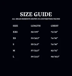 Warner Bros Kids Harry Potter Seeker T-Shirt -Warner Bros 10 Gryffindor jersey t shirt