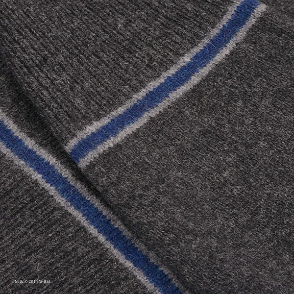 Warner Bros Ravenclaw V-Neck School Sweater 4 Warner Bros Ravenclaw V-Neck School Sweater - Image 2