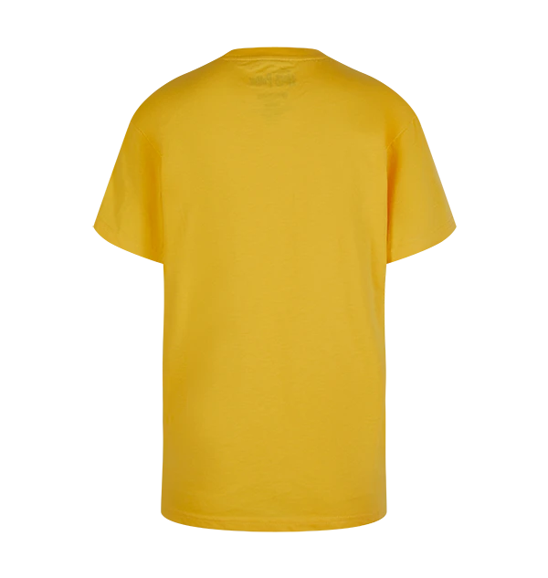 Warner Bros Kids Hufflepuff Quidditch Team Captain T-Shirt 4 Warner Bros Kids Hufflepuff Quidditch Team Captain T-Shirt - Image 2