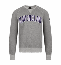 Warner Bros Ravenclaw Sweatshirt