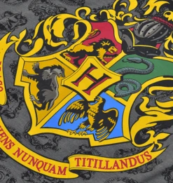 Warner Bros Hogwarts Lounge Vest Top -Warner Bros 1307133z