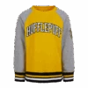 Warner Bros Kids Hufflepuff Sweatshirt -Warner Bros 1329397 1 0d878d0b 6921 4ecb be2c 4837c1dc6561