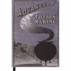Warner Bros Advanced Potion Making Journal 1 Warner Bros Advanced Potion Making Journal -Warner Bros 256012 1