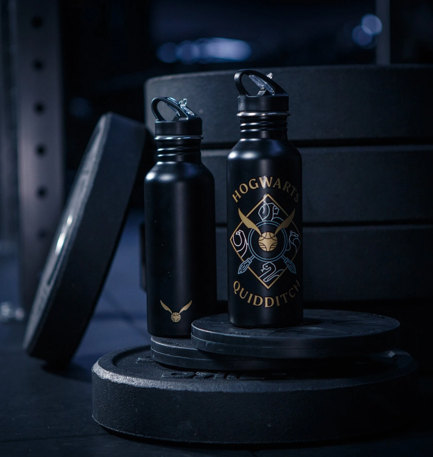 Warner Bros Quidditch Gym Accessory Set 7 Warner Bros Quidditch Gym Accessory Set - Image 5