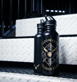 Warner Bros Quidditch Water Bottle
