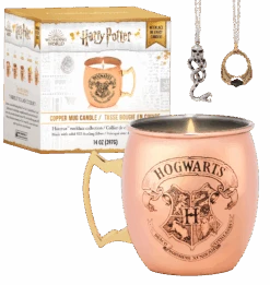 Warner Bros Charmed Aroma Copper Mug Candle