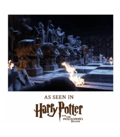 Warner Bros Wizard Chess Set 17 Warner Bros Wizard Chess Set -Warner Bros Chess 1a5be5c5 89d9 44b3 b1e8 27240890615c