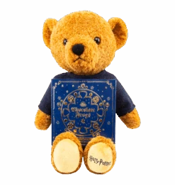 Warner Bros -Warner Bros HarryPotterHBear3