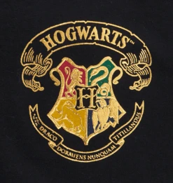 Warner Bros Hogwarts Adult Spirit Jersey 10 Warner Bros Hogwarts Adult Spirit Jersey -Warner Bros Hogwarts FLC1