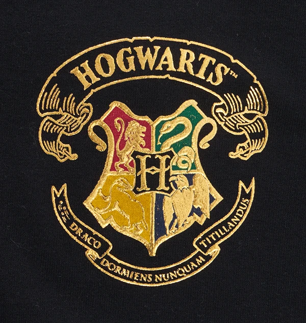 Warner Bros Hogwarts Adult Spirit Jersey 5 Warner Bros Hogwarts Adult Spirit Jersey - Image 3