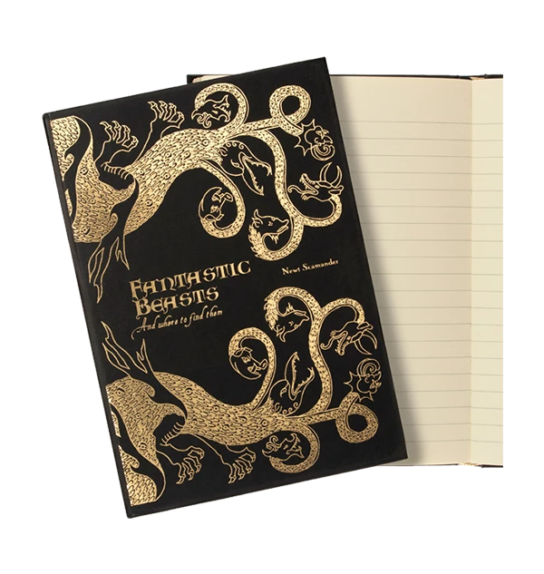 Warner Bros Fantastic Beasts & Where To Find Them Journal 4 Warner Bros Fantastic Beasts & Where To Find Them Journal - Image 2