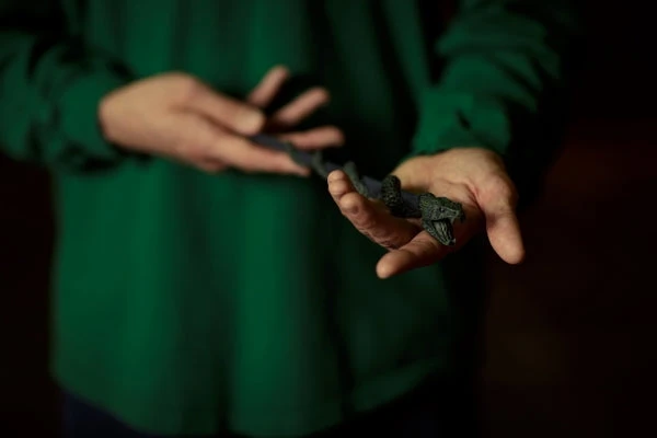 Warner Bros The Slytherin Mascot Wand 7 Warner Bros The Slytherin Mascot Wand - Image 5