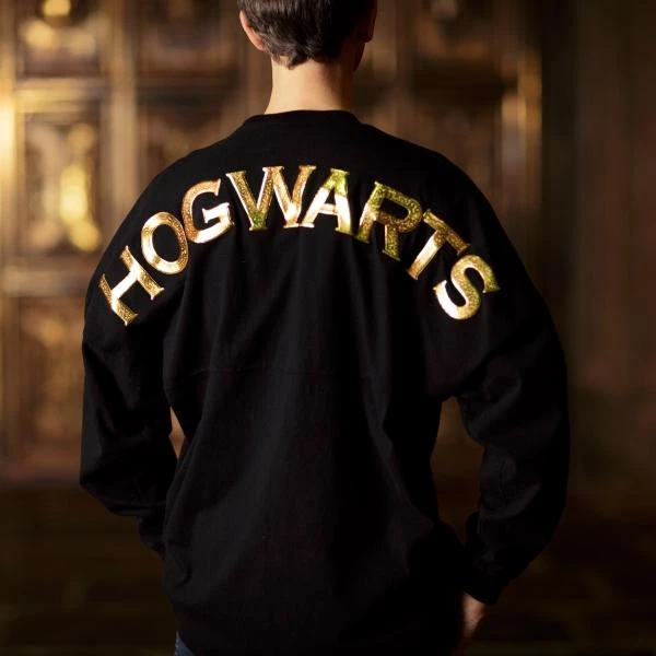 Warner Bros Hogwarts Adult Spirit Jersey 7 Warner Bros Hogwarts Adult Spirit Jersey - Image 5