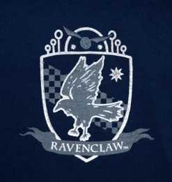 Warner Bros Ravenclaw Adult Spirit Jersey 9 Warner Bros Ravenclaw Adult Spirit Jersey -Warner Bros Ravenclaw FLC1
