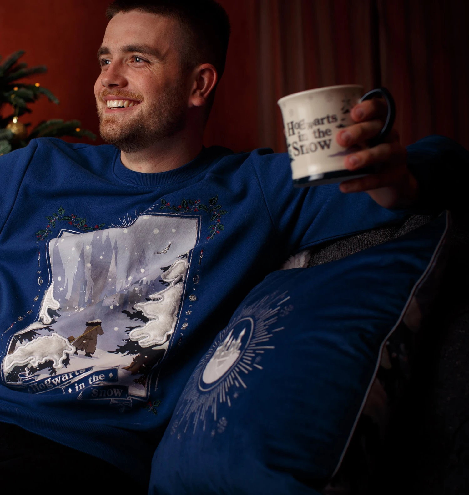 Warner Bros Hagrid Christmas Cushion Cover 5 Warner Bros Hagrid Christmas Cushion Cover - Image 3