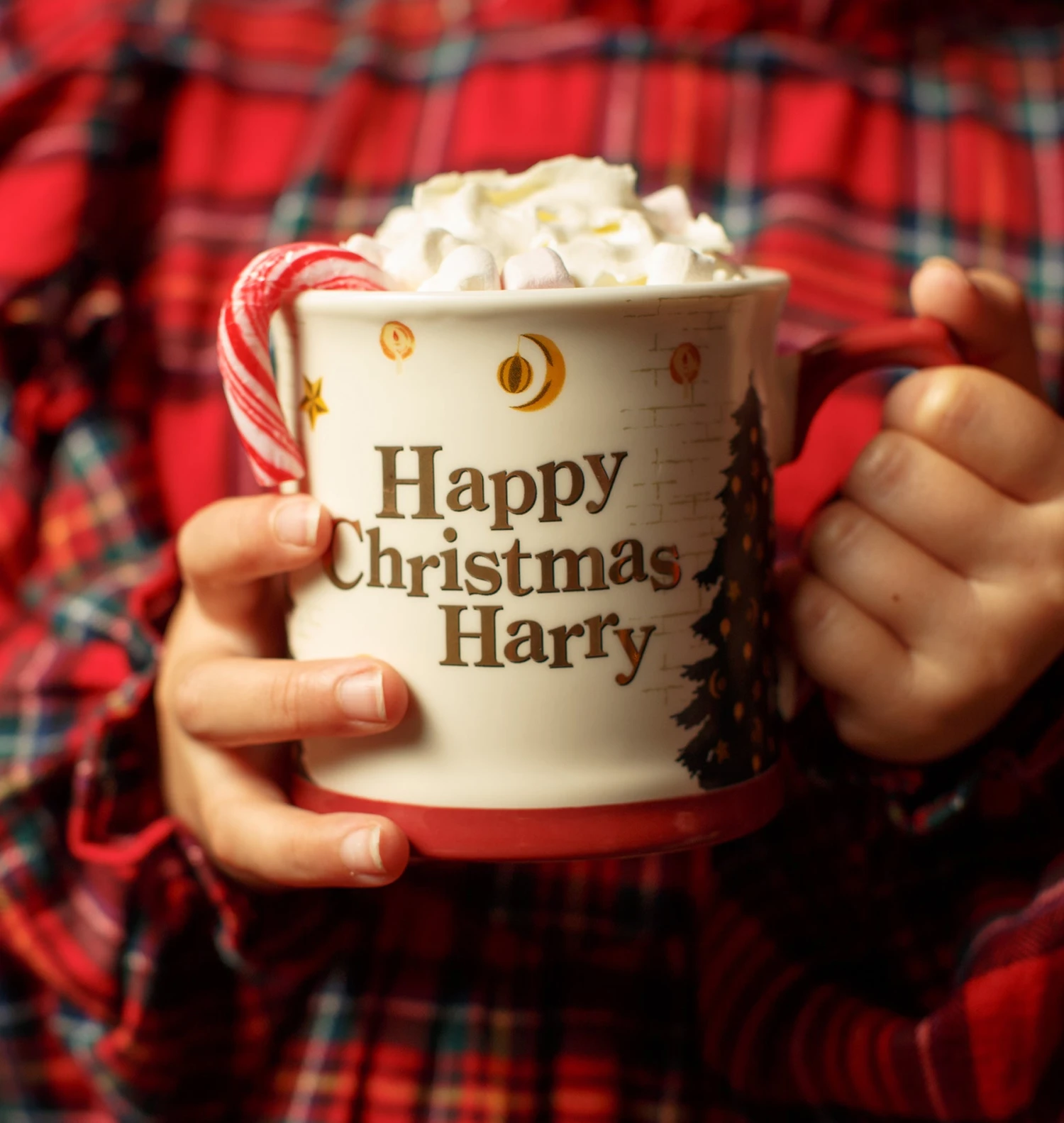Warner Bros Harry Potter Christmas Mug 6 Warner Bros Harry Potter Christmas Mug - Image 4