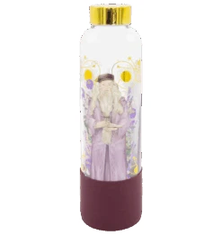 Warner Bros Yume Professors Glass Bottle