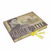 Warner Bros Harry Potter Artefact Box