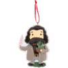 Warner Bros Rubeus Hagrid Ornament 1 Warner Bros Rubeus Hagrid Ornament -Warner Bros product ornament hagrid1