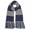 Warner Bros Ravenclaw Broad Stripe Scarf 1 Warner Bros Ravenclaw Broad Stripe Scarf -Warner Bros ravescarf