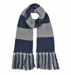 Warner Bros Ravenclaw Broad Stripe Scarf