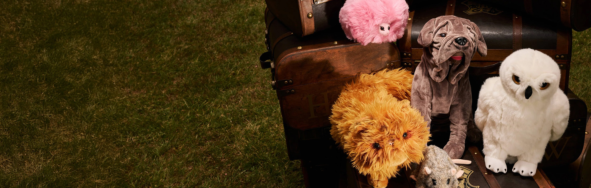 Warner Bros 10 Warner Bros -Warner Bros 1